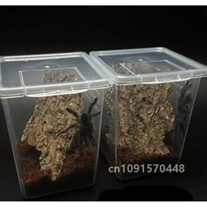 33/10/7PC of reptile feeding box spider larva transparent plastic feeding box insect breeding container to prevent prison break