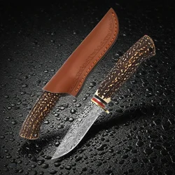 Outdoor Straight Knife  Bone Imitation Handle Knife Multi Functional High Hardness Pocket Fixed Blade Fine Feeling In The Hand