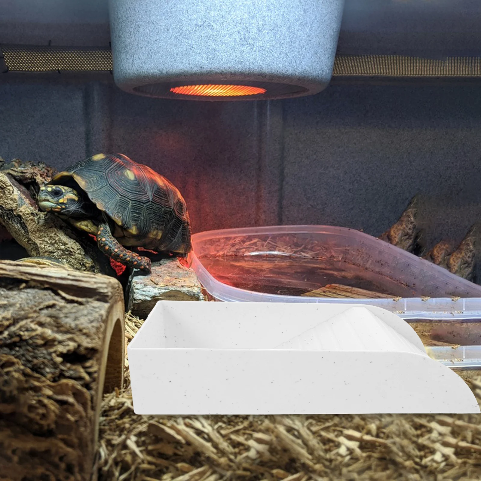 السلاحف الفرح منصة Abs دائم الزواحف Sunning منحدر لحوض السمك السلحفاة الضفدع سحلية خزان اكسسوارات الديكور #6