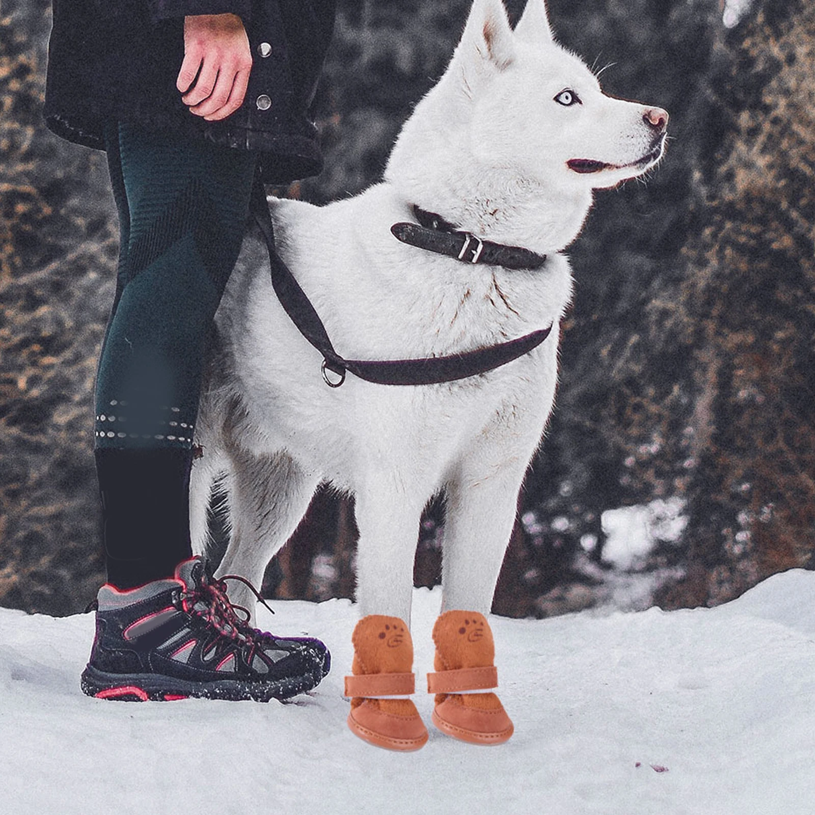 

4pcs Dog Hiking Boots Winter Pet Snow Shoes Fleece Lining Anti-Slip Sole Adjustable Snap Closure Puppy Shoes For Snow Sand