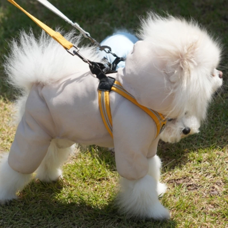 Atmungsaktive Outdoor-Bekleidung für Haustiere, Hundekleidung, Frühlings-Hundemesh für Hunde und Katzen 3XUF – Detail 1