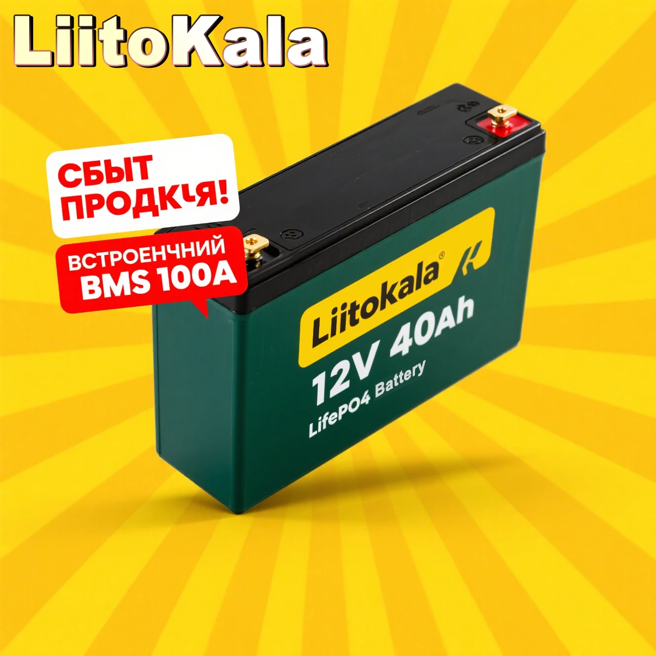 

High Power 12V 40Ah Lithium Iron Phosphate Battery by LiitoKala, 512Wh 100A Pulse, Solar Backup/Golf Cart/E-bike/Off-grid Applic