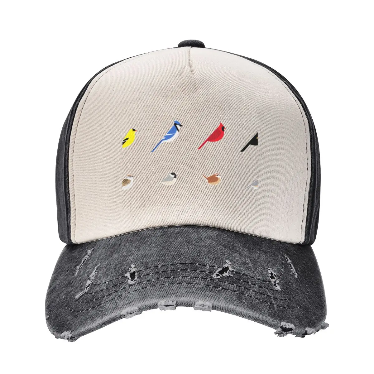 Common Backyard Birds of North America Baseball Cap hard hat Icon Golf Wear Men Women's