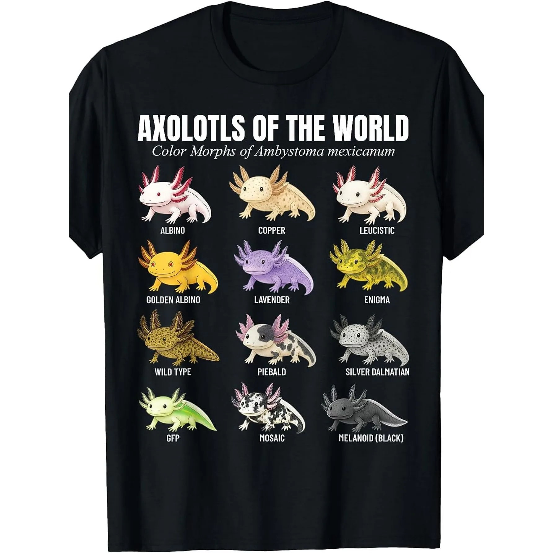 Different Types Mexican Salamander Axolotl Educational Cartoon Graphic Tee Breathable Short Sleeve Round Neck Tee