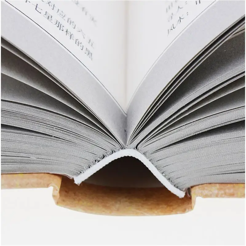 Libro di Zhouyi Yijing Feng Shui libro di base 2/Set