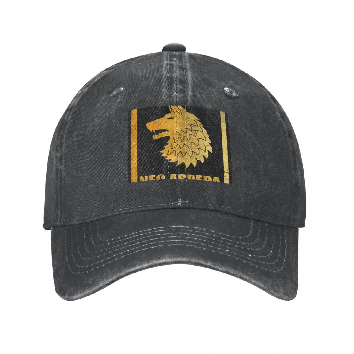 27th Infantry Regiment Wolfhounds Nec Aspera Terrent Cowboy Hat Sports Cap Beach Bag Women's Beach Outlet Men's