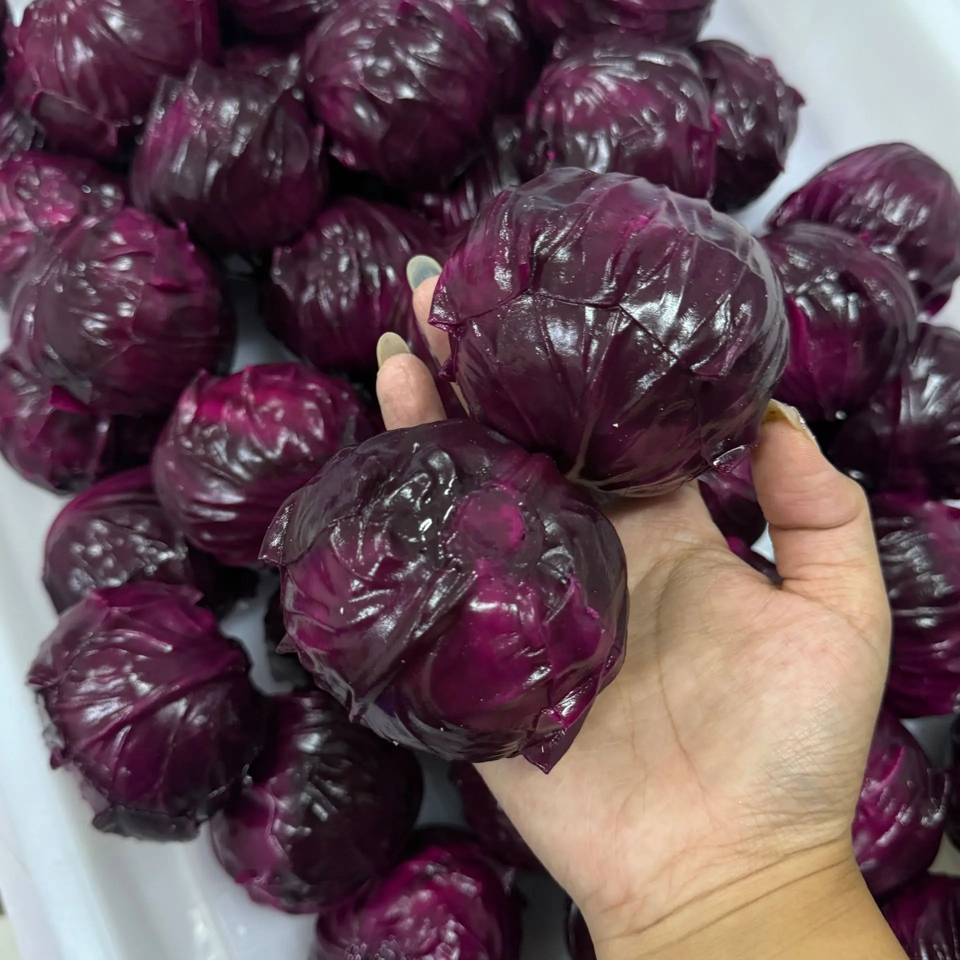 Knuspriger Rotkohl-Gemüse-Quetschball, Handgefertigtes Stressabbau-Spielzeug, Neuer Stil, Rotkohl-förmiger Squishy-Ball