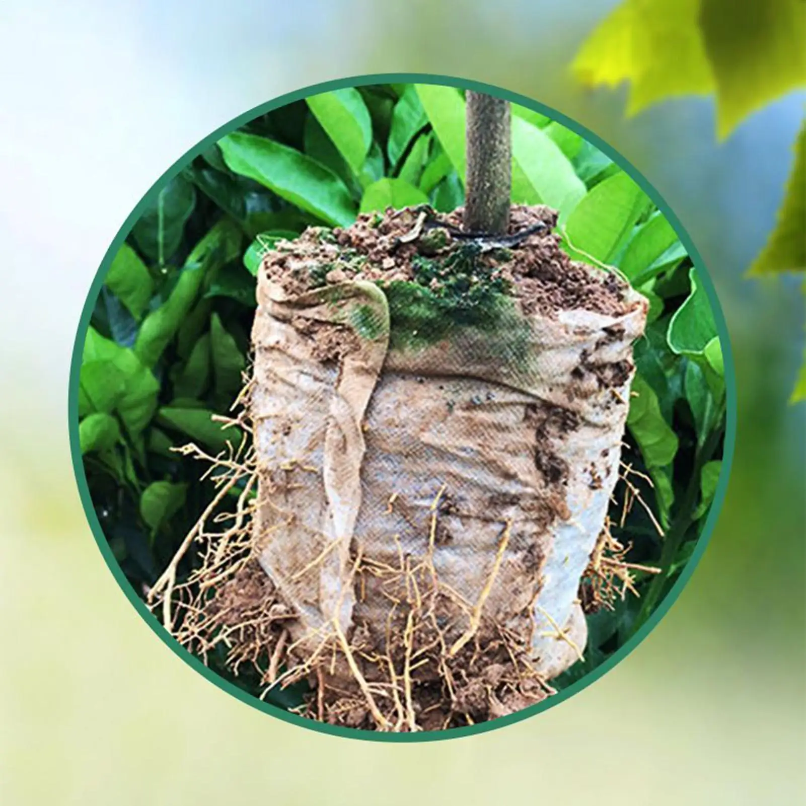 

Контейнеры для рассады Soil Pods, 100 штук, 30 мм, для выращивания рассады в помещении и на открытом воздухе, для овощных и цветочных грядок