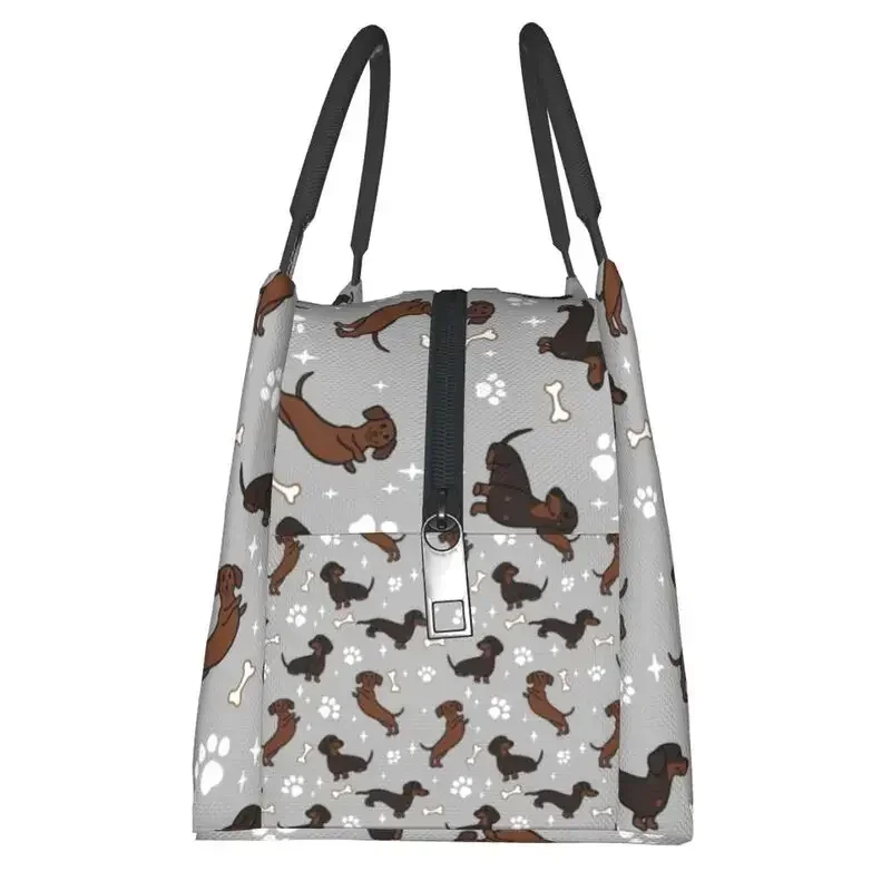 Bolsas de almuerzo con aislamiento Dachshunds Dackel para mujer, color gris, para acampar, viajar, The Wiener Dog, Teckel, enfriador reutilizable, caja térmica Bento