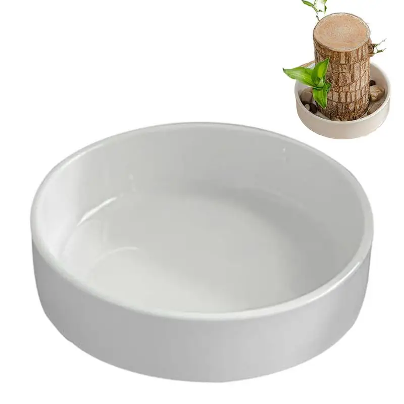 Brazilian Wood Plant Tray Holder for Purifying Indoor Air Hydroponic Wood Tree Bamboo plastic Bottom Tray for Desktop Decoration