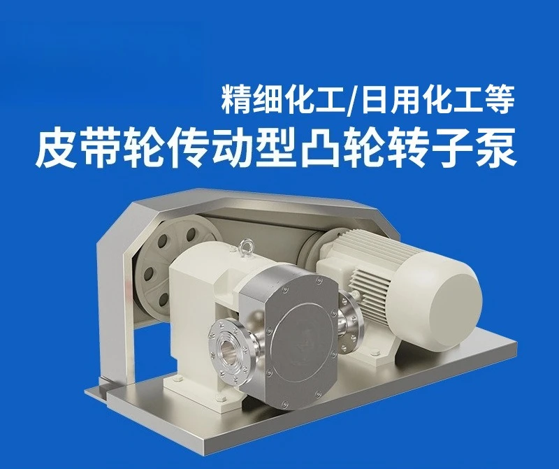 Electric cam pump, high pressure and high temperature corrosion resistant stainless steel metering rotor pump