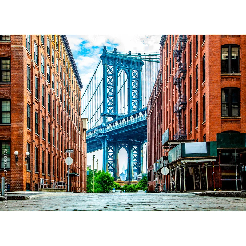 Vintage Châu Âu Phố Xem Phong Cảnh Chụp Ảnh Phông Nền Đạo Cụ CướI Chân Dung Ảnh Nền Studio 211229 JJD-03