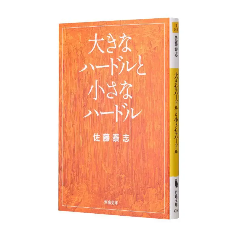 

Большие препятствия и маленькие препятствия Yasushi Sato Kawade Shobo Shinsha 9784309410845 Книга