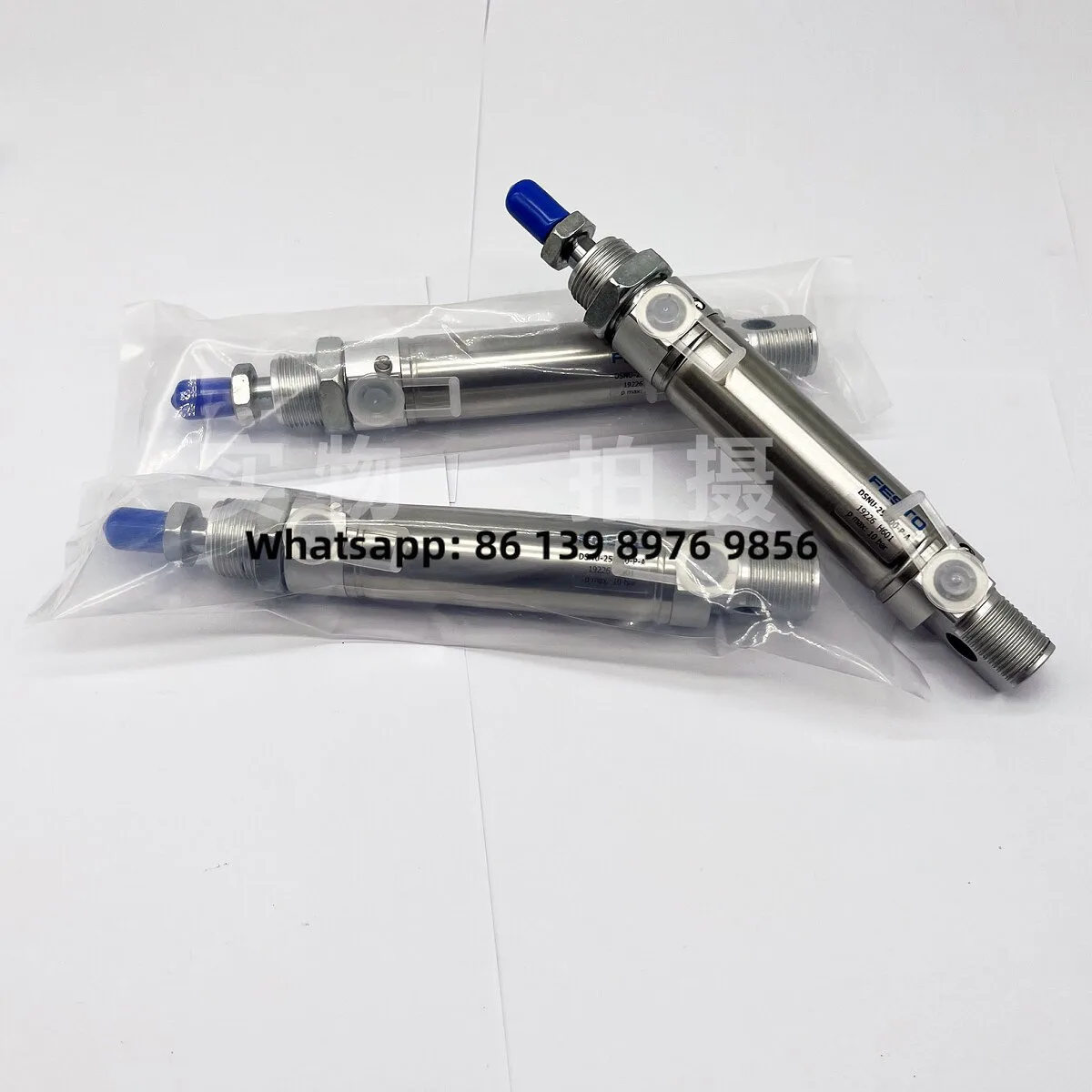 Type Cylinder Dsag/Dsas/Dsaq-20-25-32-40-50-60-75-80-100-P-A