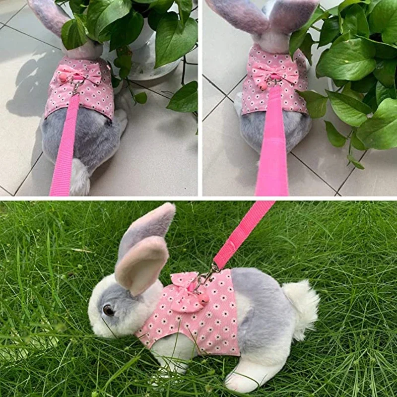 Small Animal Outdoor Walking Harness and Leash Set Cute Clothes for Puppy Kitten Pigs Bunny Chinchillas Necklace Rabbit Vest