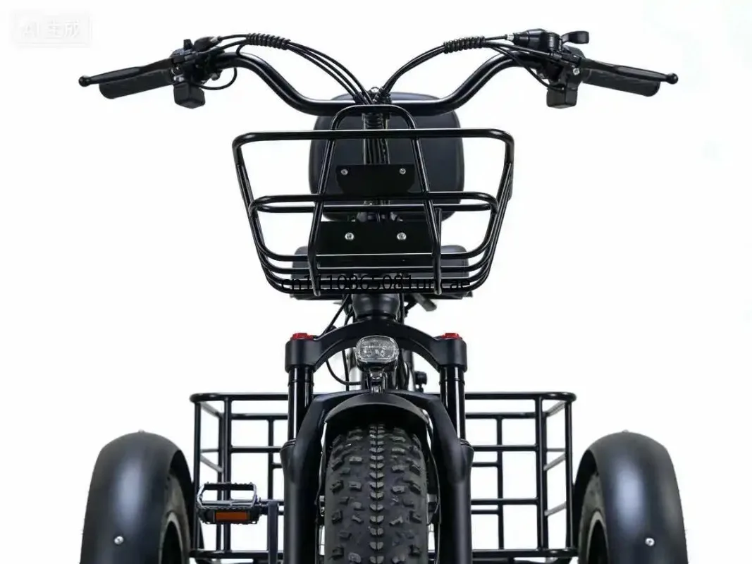 20 Inch Fat Tire Electric Pedal Tricycle Snow Bike with Lithium Battery