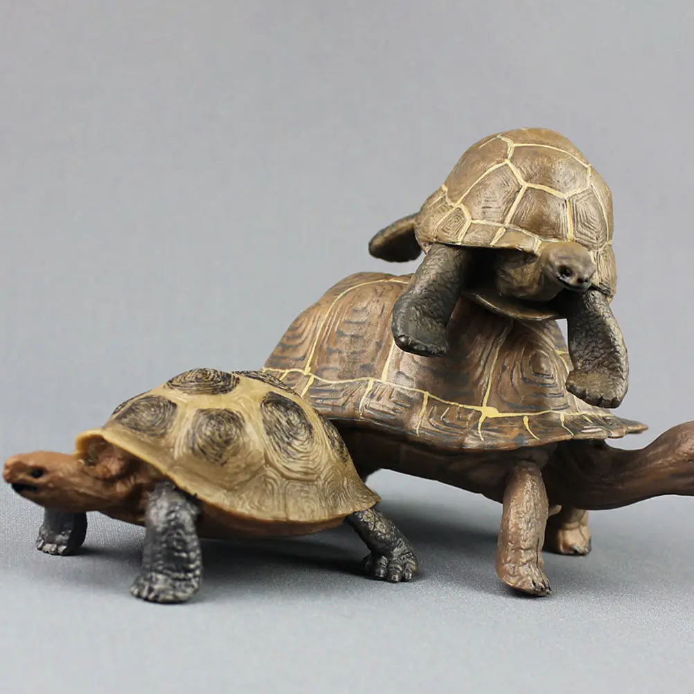 

Plastic Land Tortoise Realistic Detailed Colorful Simulation for Education Birthday Ocean Animal Display Realistic Animal Toys