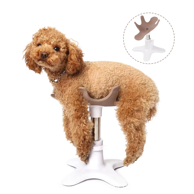 Pet Bath Fixer Removable Adjustable Dog Grooming Beauty Fixed Table Base Waterproof Easy-operate Multi-functional Dog Bath Tool