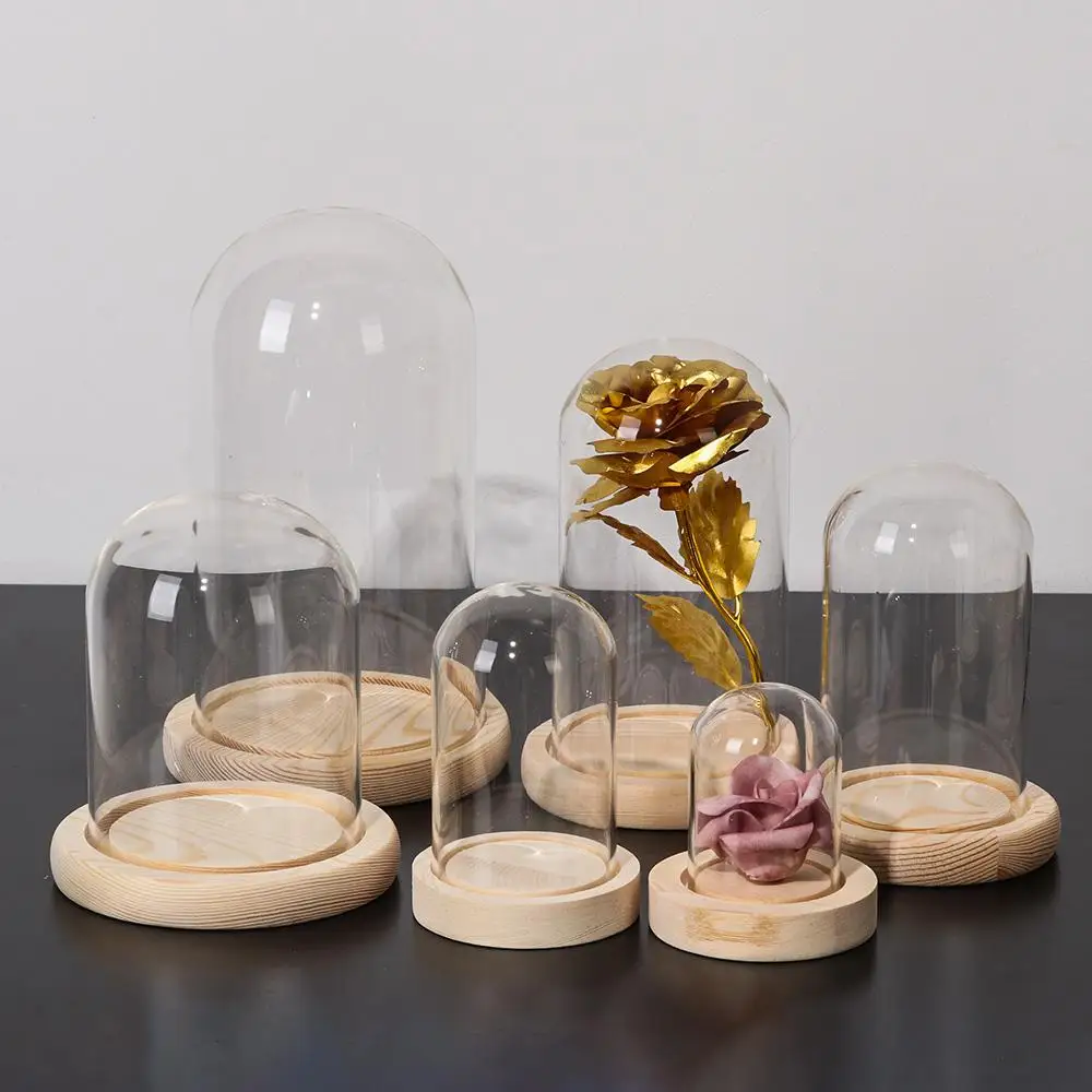 Glass Cloche Jar Display Stand Cover Terrarium Bottle with Wooden Base Acrylic Dust Cover Display Box Immortal Flower Box