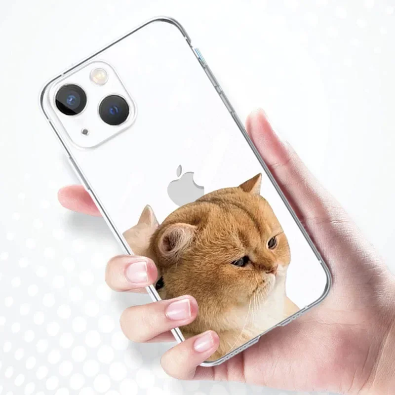 Cute Cartoon Cat Dog Couple Phone Case For iPhone 16 15 14 13 11 12 Pro Max 13Mini SE 15Plus X XR Transparent Cover Fundas Shell