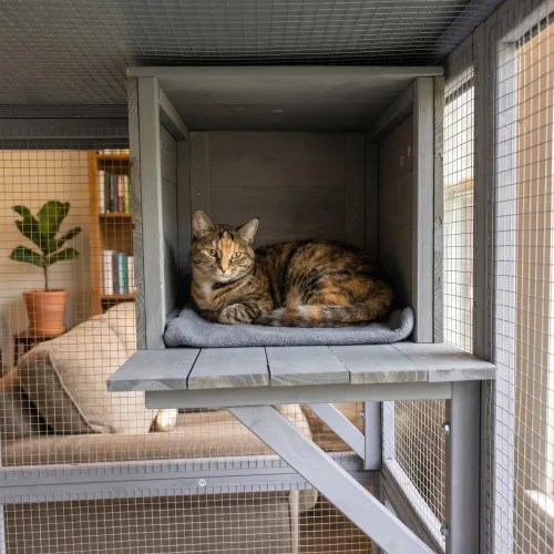 Outdoor Wooden Cat Enclosure 6