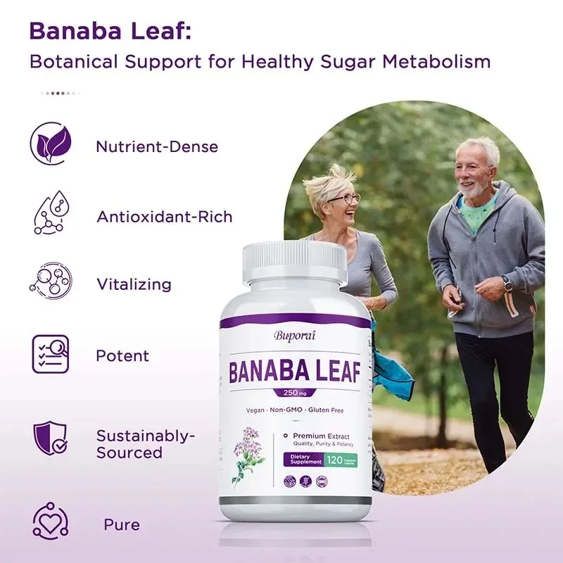 바나바 잎 - 스트레스와 불안 감소, 활력 증진, 건강한 혈중 수치, 전반적인 건강 유지, 면역력 향상