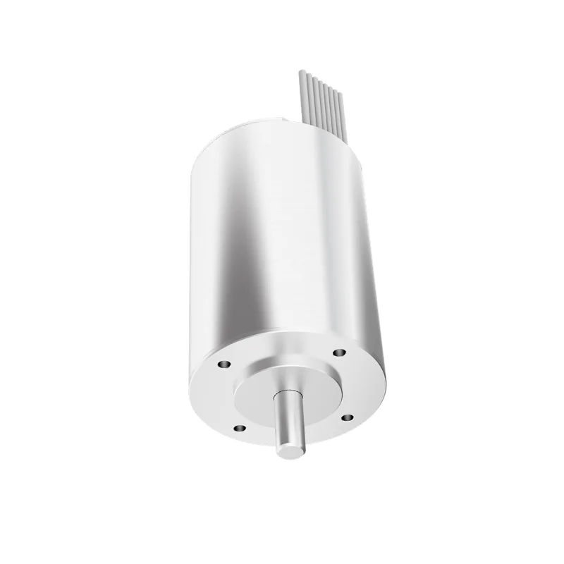 

Китайская заводская поставка FL40SBL Series 100MQ 500VDC Mini Desi Coreless BLDC Motor Fulling Motor с коммутационным бесщеточным двигателем