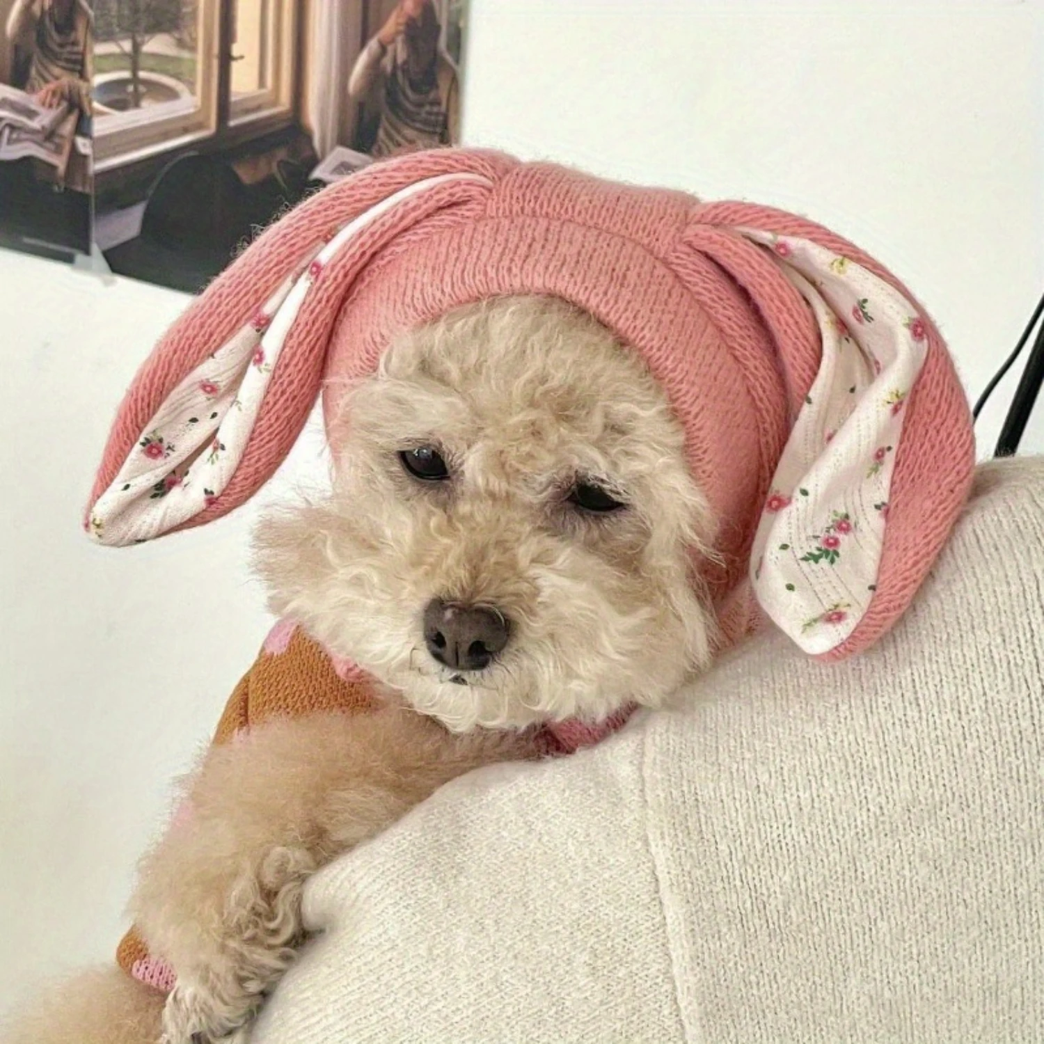 1pc Adorable Bunny Ears Cat Hood Pet Knitted Hat, Autumn/Winter Warmth Headgear, Cute Dog Accessory Decor