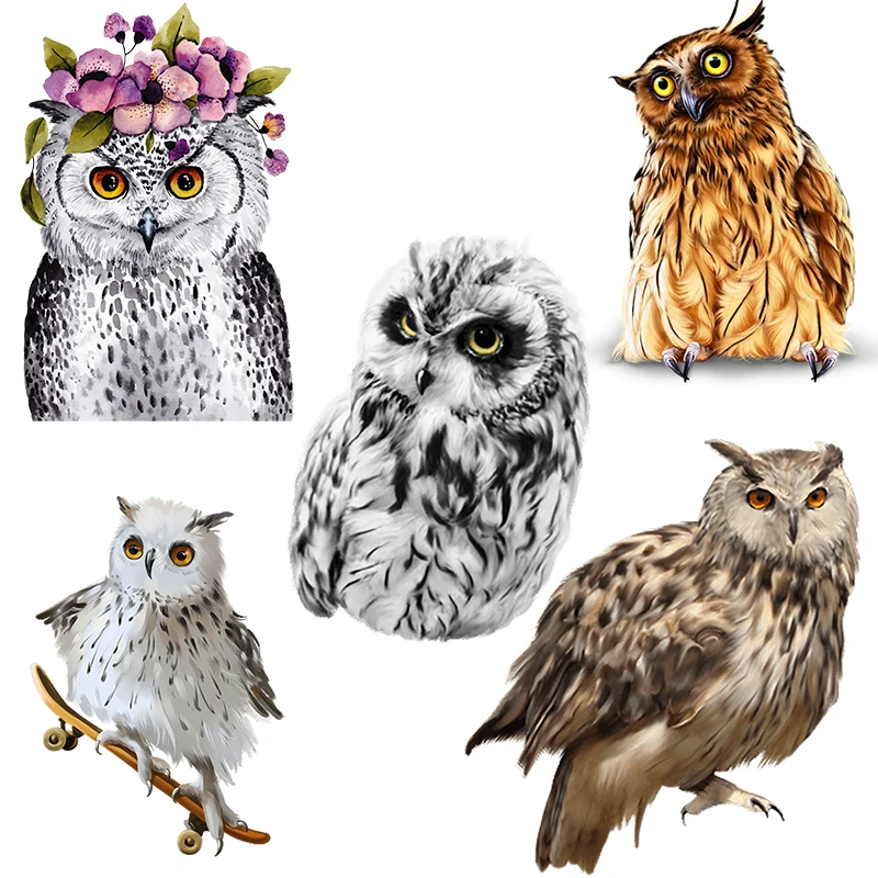 Three Ratels QN3 Cute Owl Cartoon bird kid's Bedroom Decoration Wall Sticker Waterproof Self adhesive