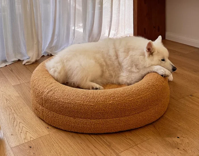 Custom XL Large Luxury Orthopedic Cotton Fill Waterproof Dog Bed for Dogs Durable Removable Washable Cover Solid Animal Pattern