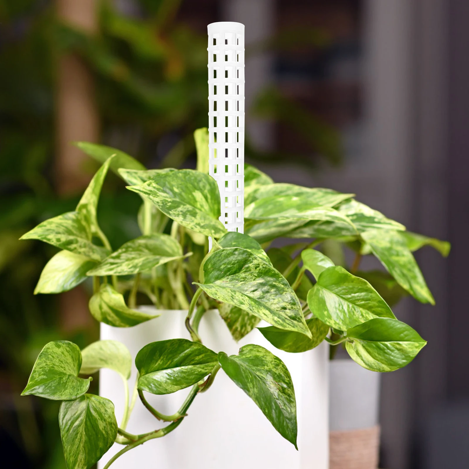 

Plant Climbing Column Moss Pole White Garden Trellis Frame Flower Pot Holder Vine Support Trailing Houseplants Outdoor Indoor