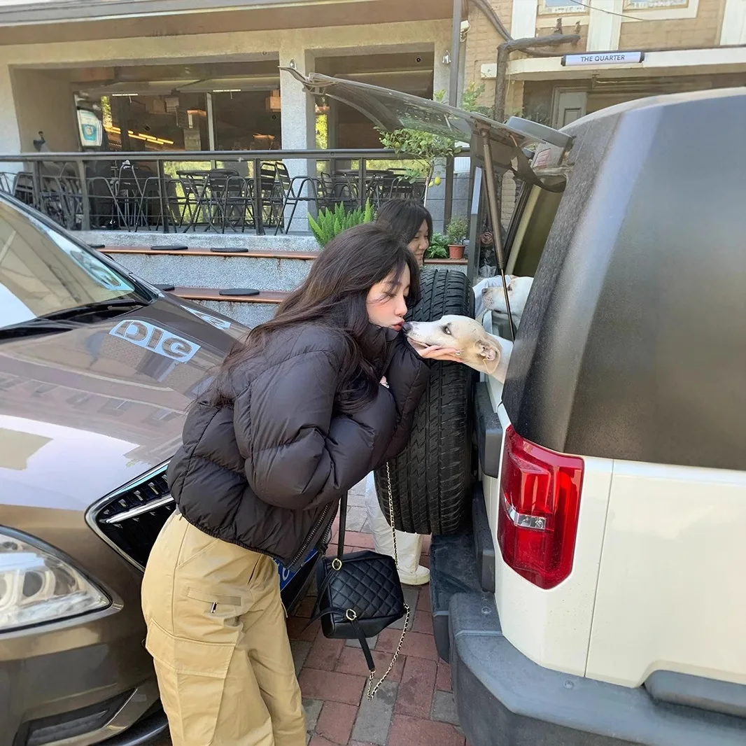 Chaqueta acolchada de algodón y pan de invierno para mujer, chaqueta acolchada minimalista con cremallera y cuello levantado Retro, versión coreana gruesa para niña