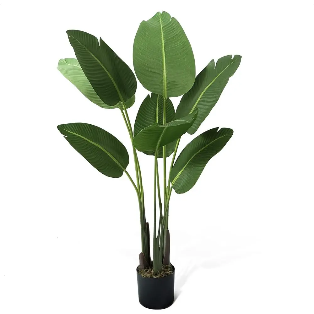 

Устойчивое к УФ-излучению искусственное растение в горшке с сухим мхом, подходит для использования в помещении или на улице, идеально подходит для декора дома или офиса, не требует ухода.