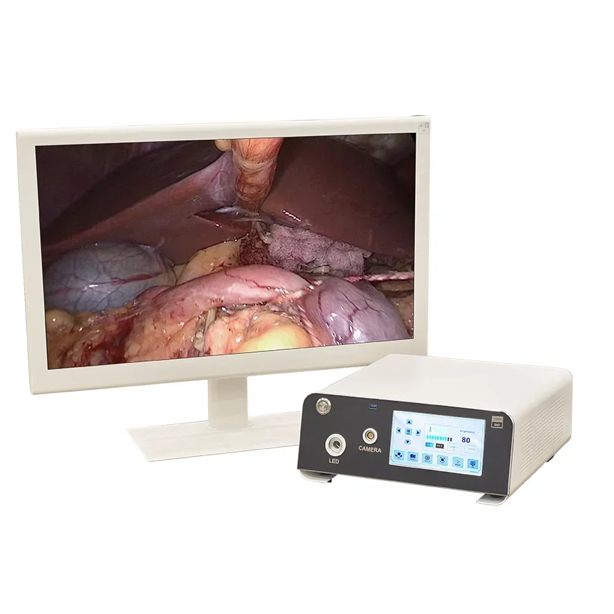 NEW Portable Endoscope Camera With Led Light Source Medical Monitor Hd Video Capture Recorder