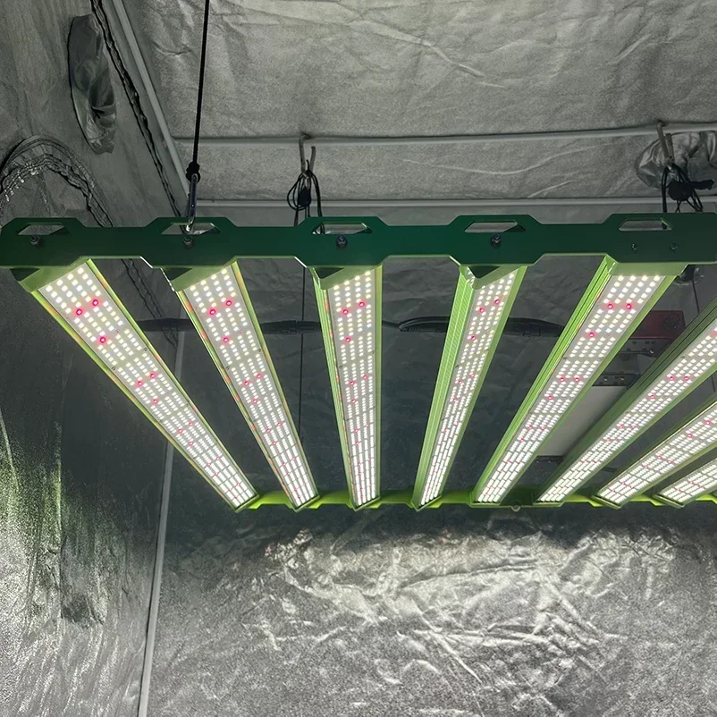 أحدث 2024 KingBrite 1000W LM301H EVO مع شريط إضاءة LED كامل الطيف لـ Osr 660nm 730nm