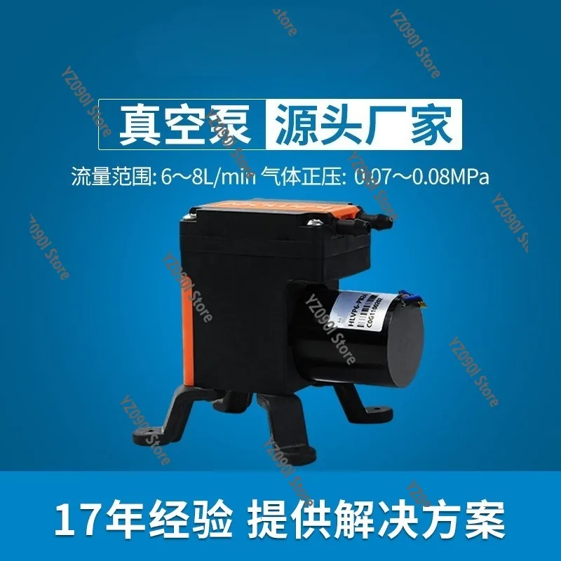DC12V 24V HLVP6 Micro Negative Pressure Pump Low Noise Self Priming Instrument Air Pump