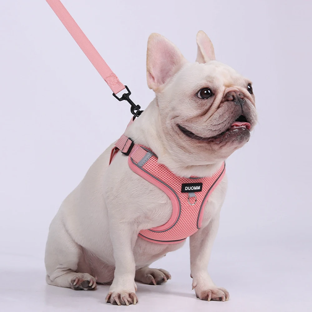 Thumbnail 4 - #47 New Dog Car Safety Harnesses Arrivals