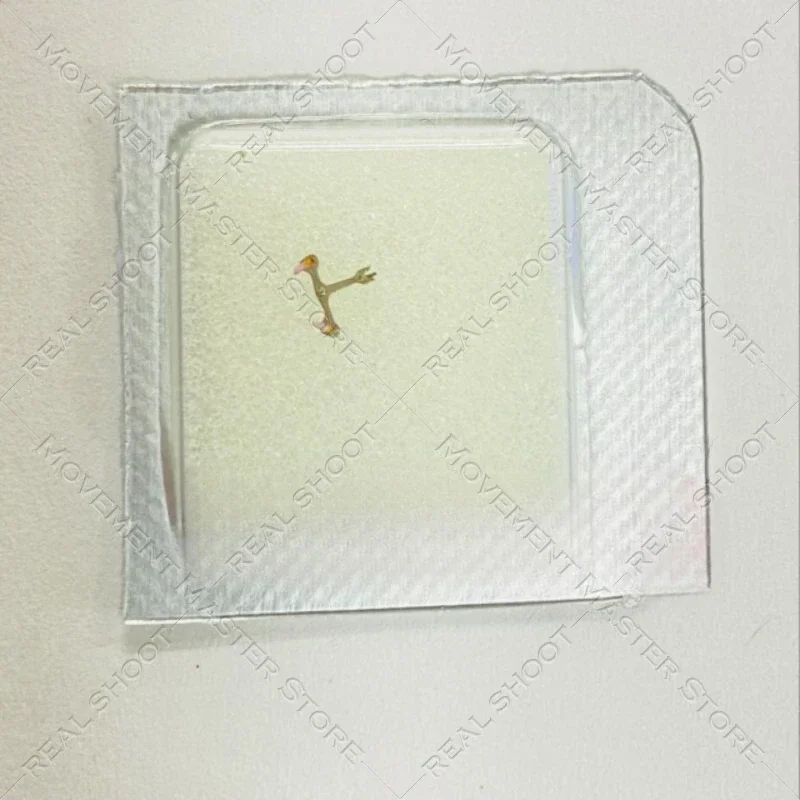 Aksesori Jam Tangan Manusia Kapak, Garpu Pelarian, Garpu Kuda dengan 2836,2824,2834 Dilengkapi Khusus dengan Gerakan Impor