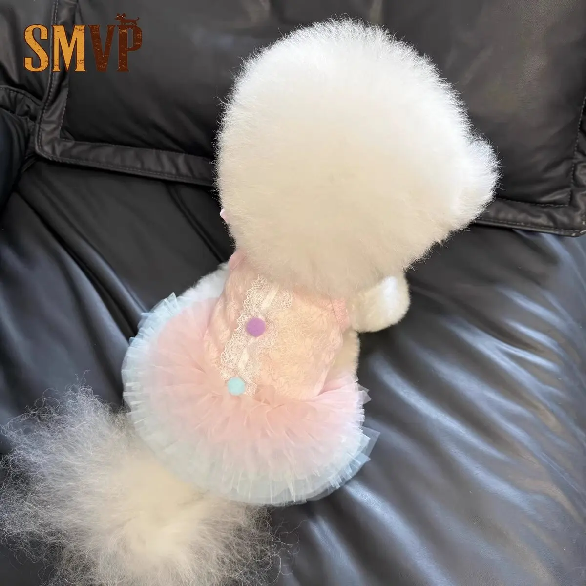 

Summer Lace Gradual Change Ballet Dress Graceful and Adorable Princess Tutu Dress Pet Cat Small Dog Dress