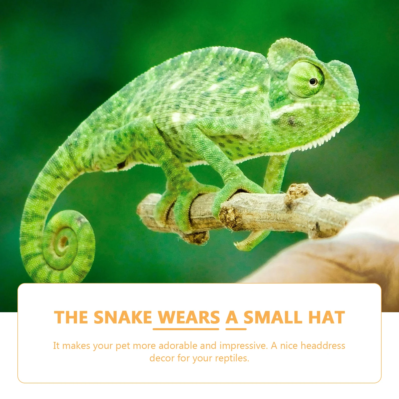 8pcs Mini Crawl Pet Hat Lightweight Adjustable Elastic Design Reptile Hats Decorative Accessories Snake Lizard Festivals