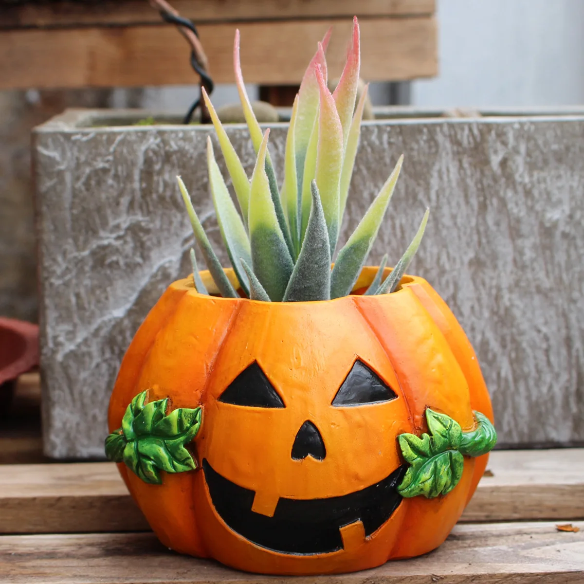 ‌Halloween Pumpkin Planter - Cactus & Succulent Pot for Home Decor‌