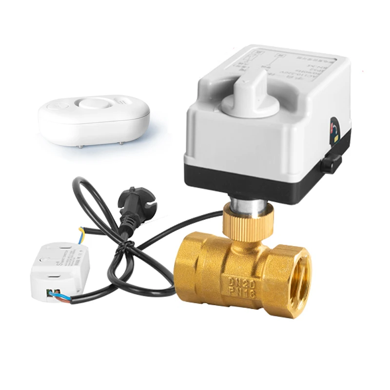 DN20 Large Diameter Electric Ball Valve Normally Closed Brass Intelligent Wifi Leakage Sensing Shut-off Valve