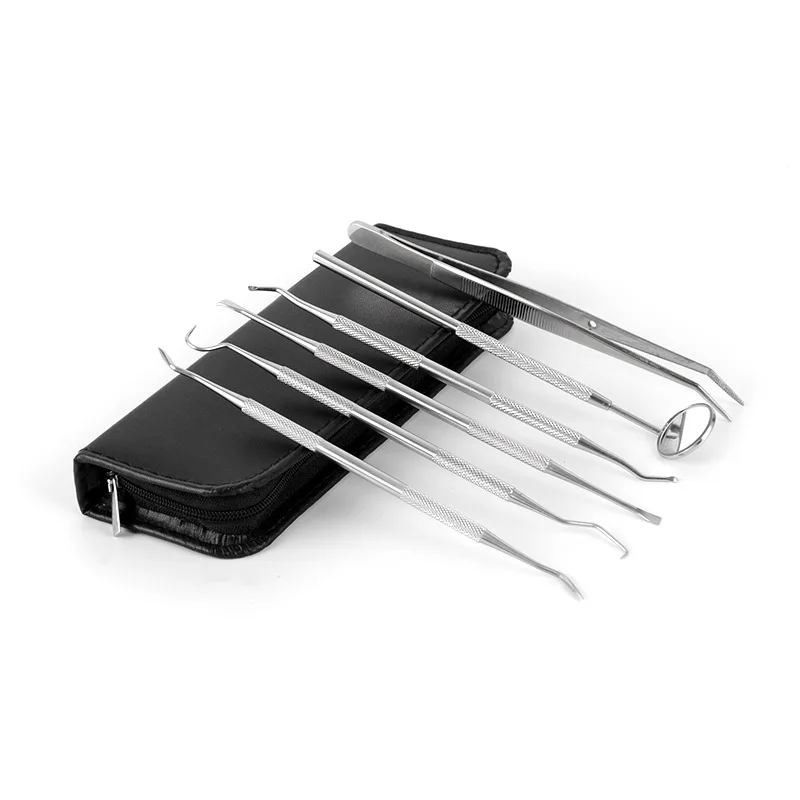 6Pcs /Pack Stainless Steel Dental Tool Oral Care Set for Dental Removal Endoscope Dental Scaling Removal Leather Case Packaging