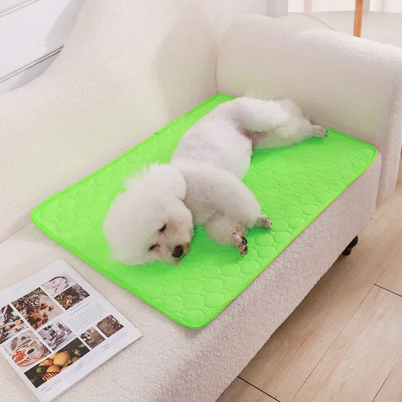 초콜릿