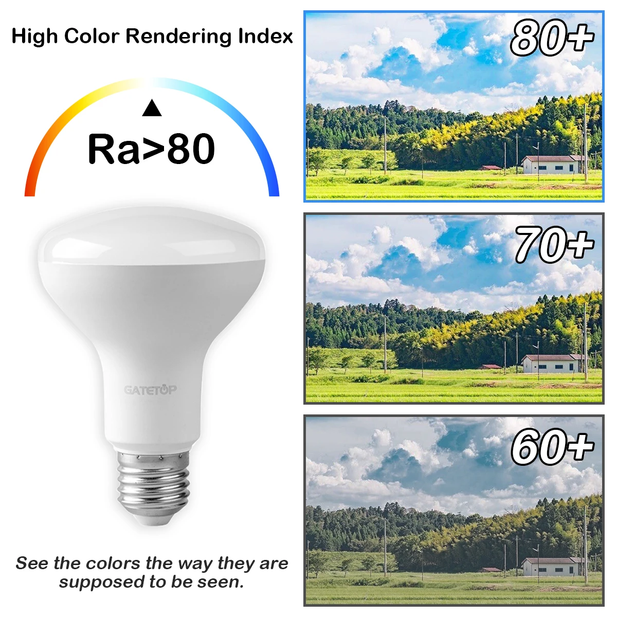 1-10Pack E14 E27 R Bulb bathroom light R50 R63 R80 6W 10W 12W Hight Lumen 3000K 4000K 6000K Natural light for bathroom home