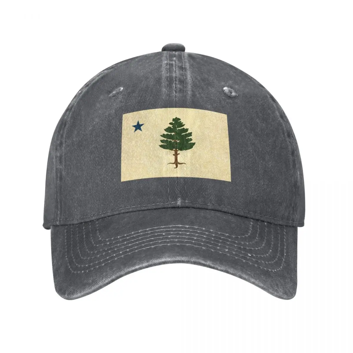 Maine Flag 1901 Textured Version Baseball Cap Rugby Cosplay Boy Women's