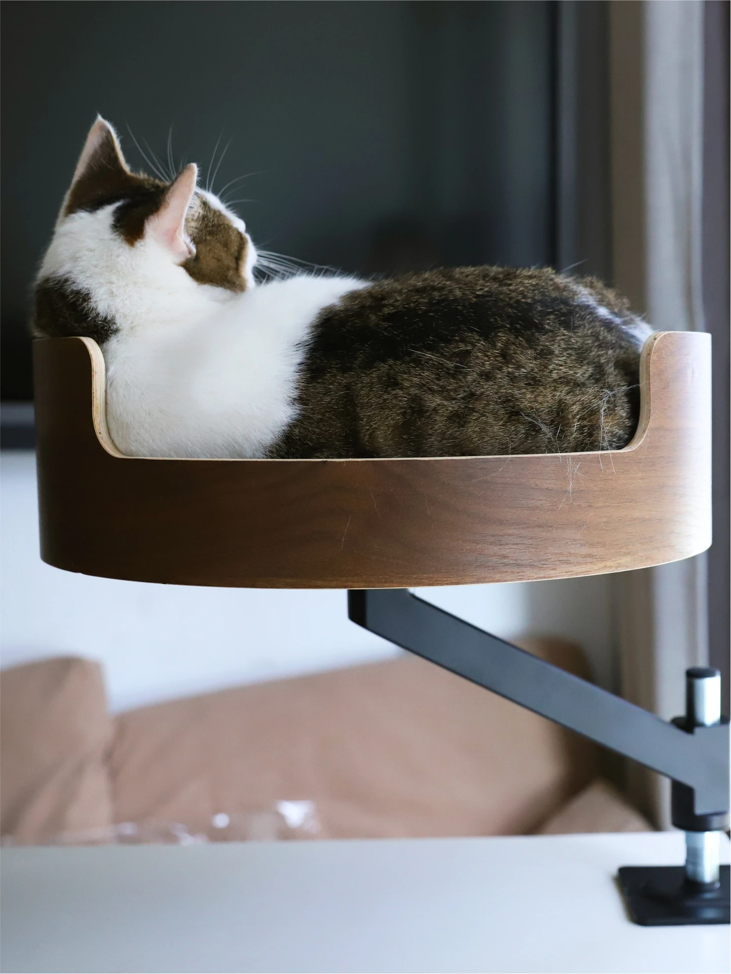 ZHAYA Floating Desktop Cat Bed Adjustable Lifting Rotating Pet Nest Wall Mounted Companion Station Space Saving Hammock
