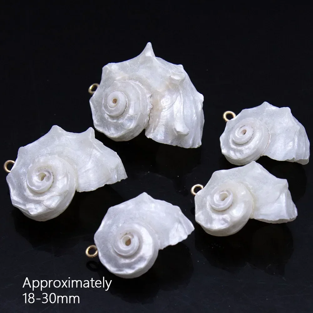 Natural Shell White Conch Pendant - Large Animal Shape for DIY Jewelry