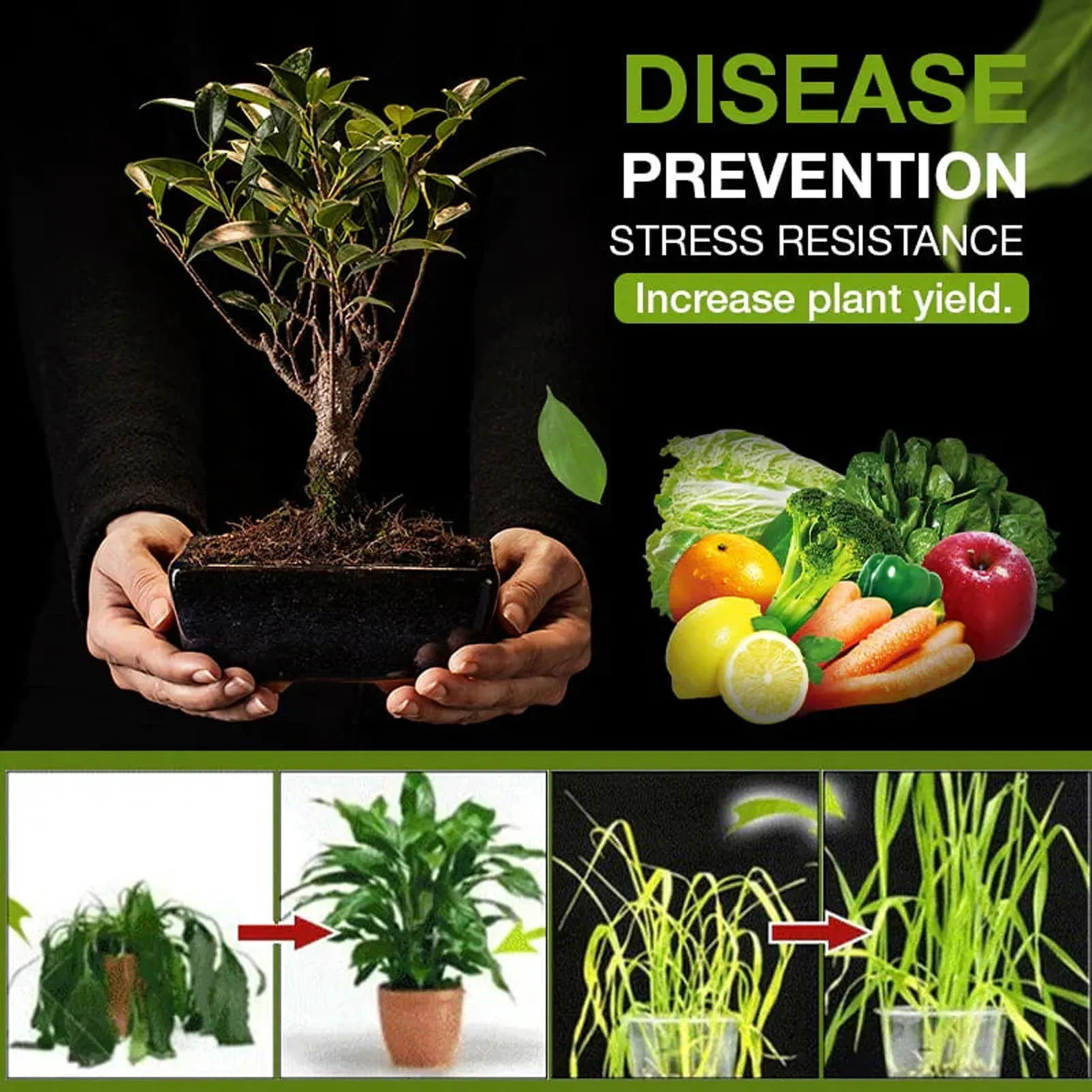 Soil Activator Plant Growth Nutrient Supplement Root Stimulant Fertilizer For Gardening Care