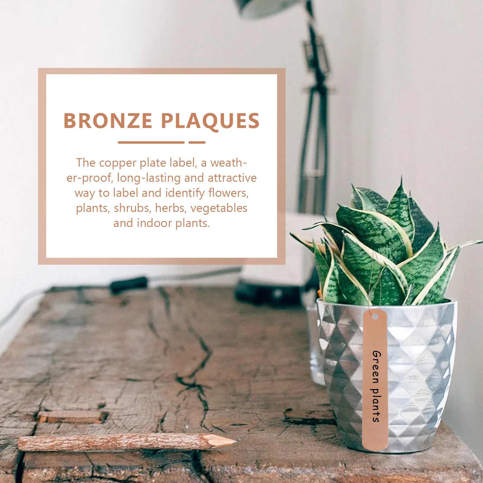 

30 set Copper Plant Labels Round Garden Sign For Vegetables Flowers Herbs Identification Outdoor Indoor Use Greenhouse Gardening